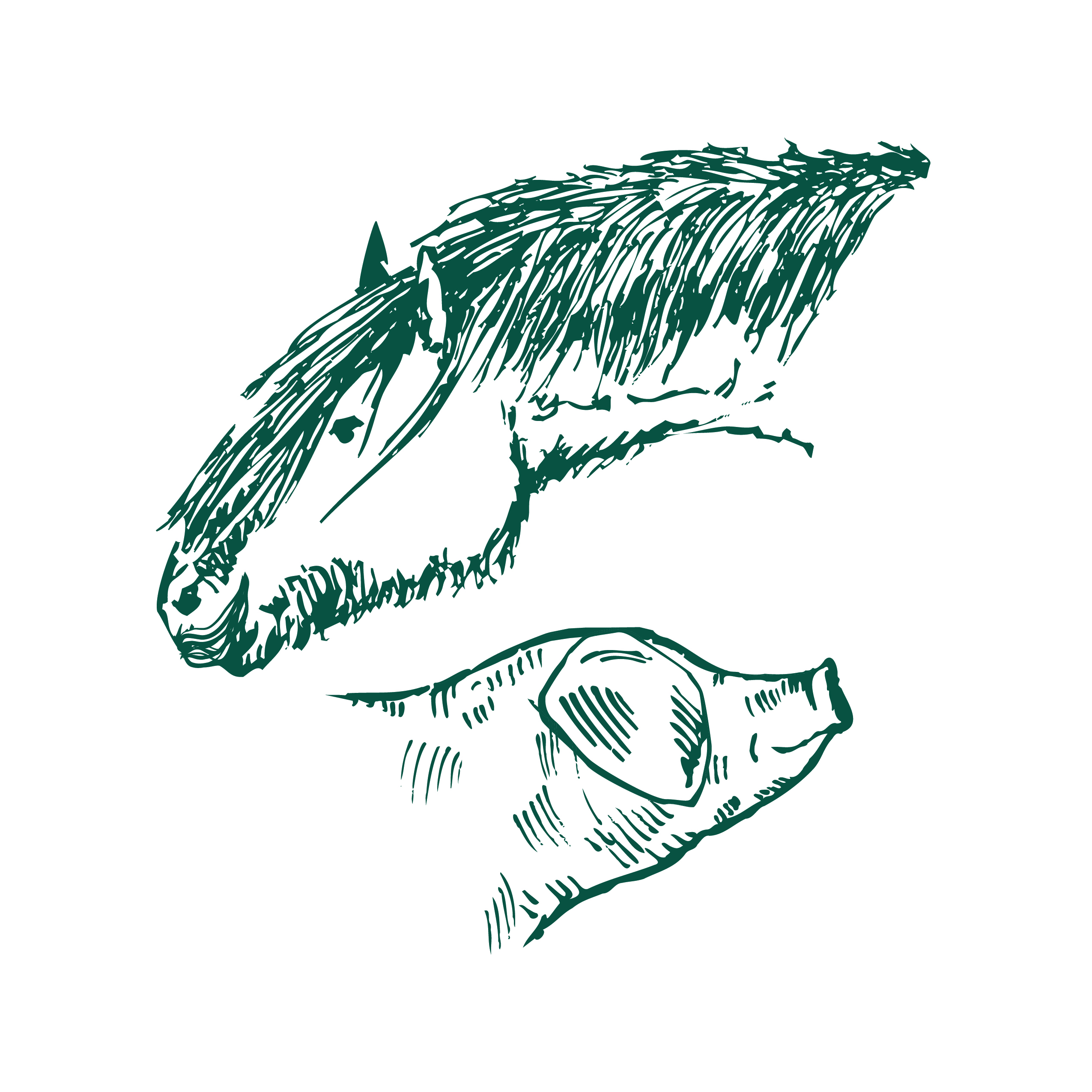 An Evening of Compassion: Darrowby Farm Sanctuary at Pascal Hall - logo